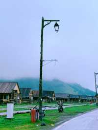 喀納斯瓦圖新村一個夢寐以求的避暑絕佳去處