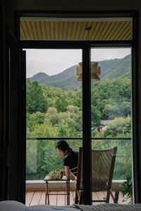 秦嶺雲深不知處這就是我理想的夏日假期