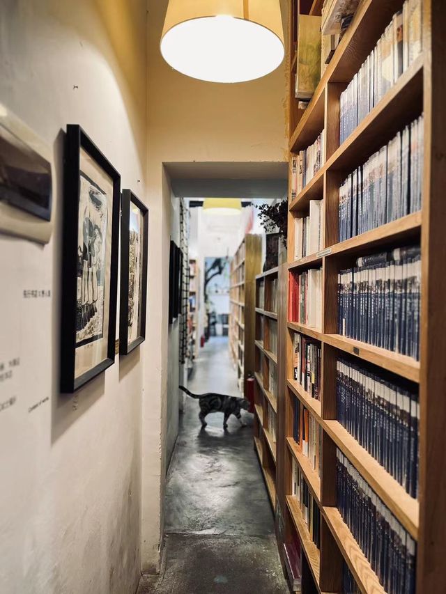 佛山探店 | 藏在老小區下的綠色氛圍書店