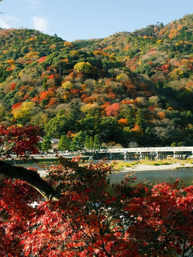 🌸 Kyoto's Hidden Gem: Luxurious Onsen Hotel Experience 🏯✨