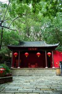 周末去哪玩|臨沂打卡地蘭陵壓油溝