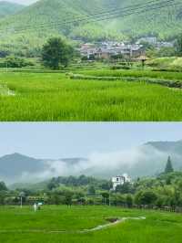 莫干山這條路線已經美到失語！人少景美好絕