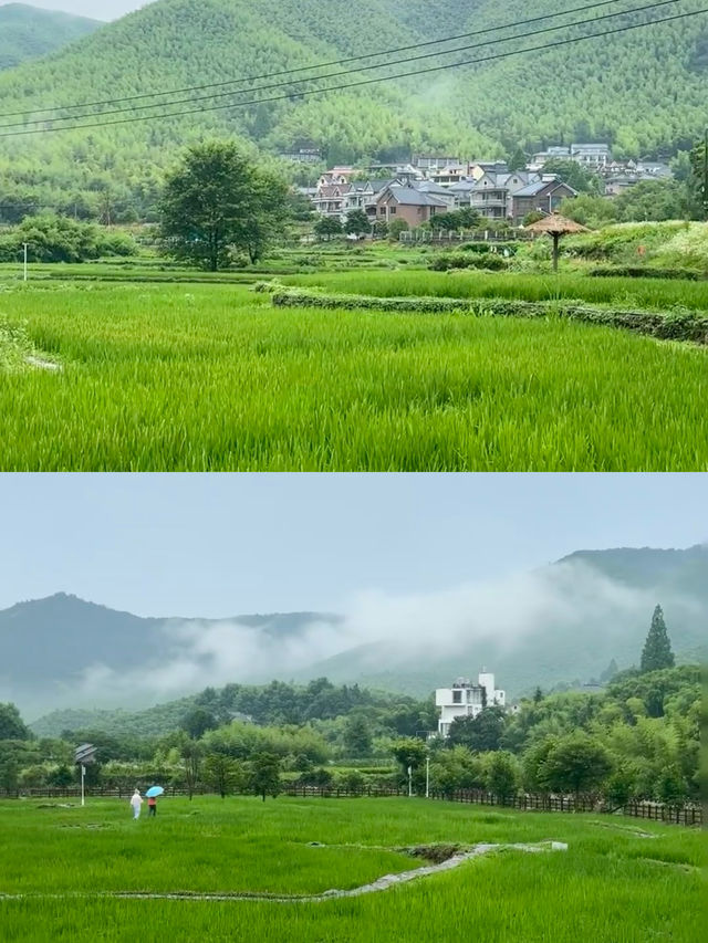 莫干山這條路線已經美到失語！人少景美好絕
