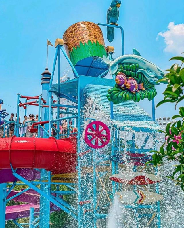 夏日玩水，苏州樂園森林水世界。