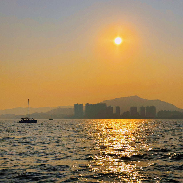 【廈門水上活動】🚤坐遊艇出海，在海上看金門，還有機會偶遇白海豚🐬！