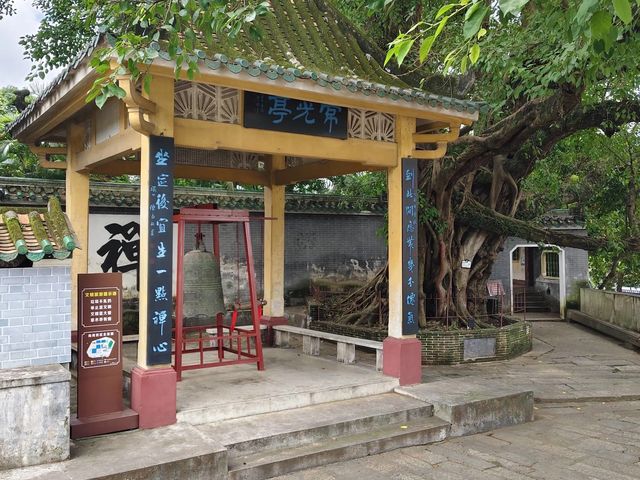 打卡廣東肇慶梅菴。