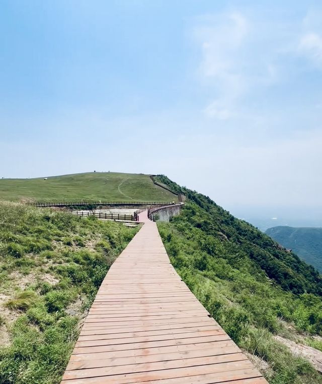 總要來一次伏羲山，看看屬於鄭州的阿勒泰