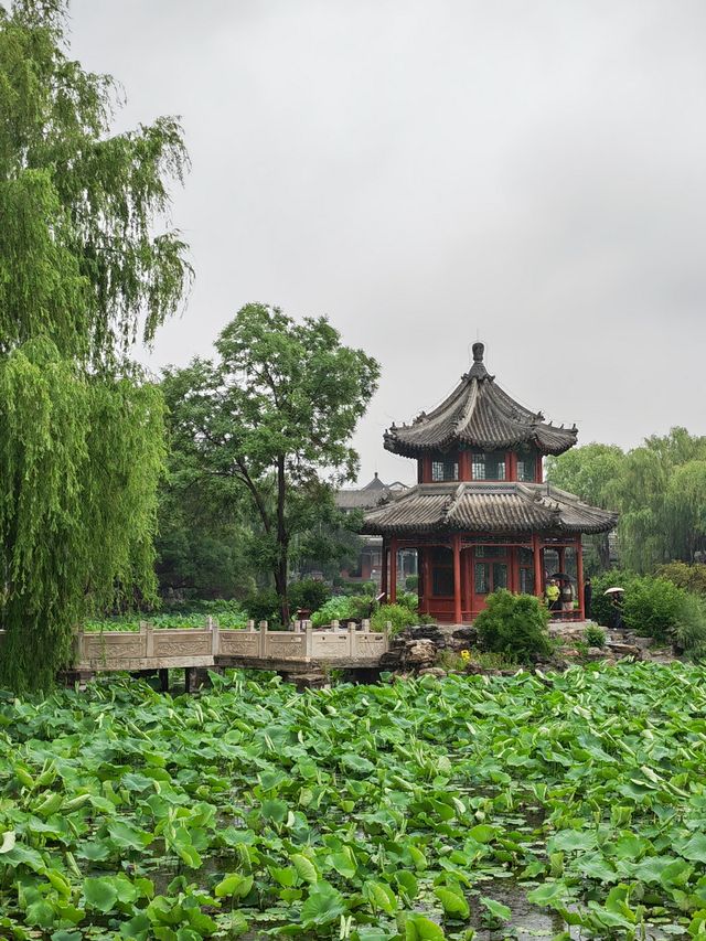 河北保定蓮花書院。