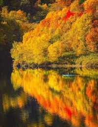 北海道秋天的《定山溪》。
北海道定山溪「紅葉季」遊覽路線和景點推薦