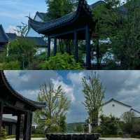•雲端之上的靜謐時光|天台山星野嘉助。