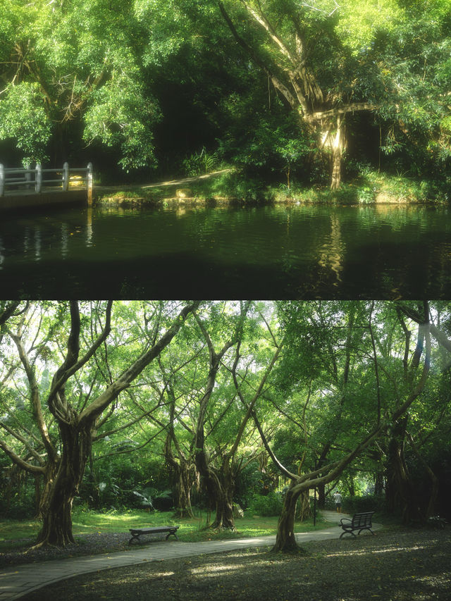 總有一次在公園相遇吧，我怕我會愛上這裡。