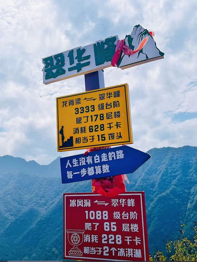 秋韻之旅｜周末不打烊。