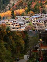 川西的秋景！比起四姑娘山，我更愛這個免費彩林。