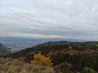 崛圍山秋景~紅楓黃葉綠樹蒼柏美不勝收。