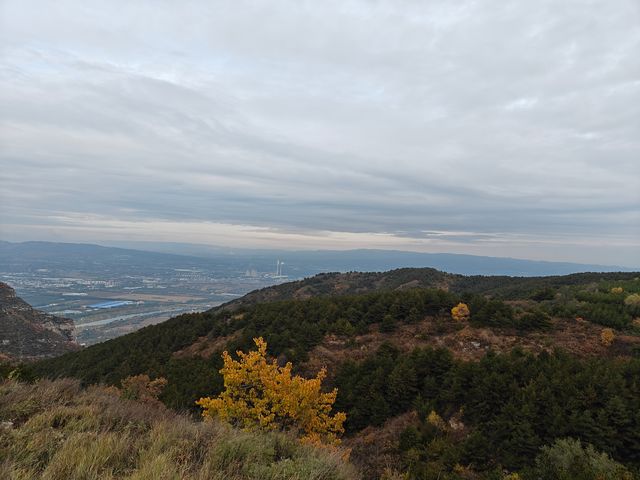 崛圍山秋景~紅楓黃葉綠樹蒼柏美不勝收。
