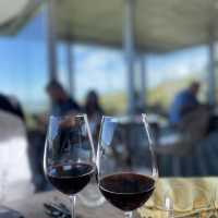 Cape Wine Estate 🍷🌿