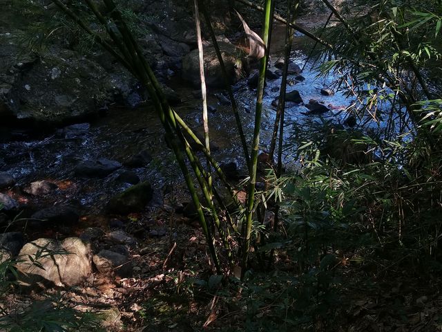 南昆山真是惠州的避暑勝地。