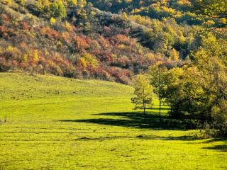 Romania travel recommendations. 