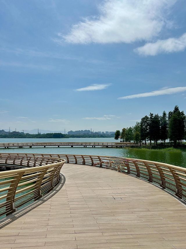 東莞小眾 citywalk 秋日浪漫指南。