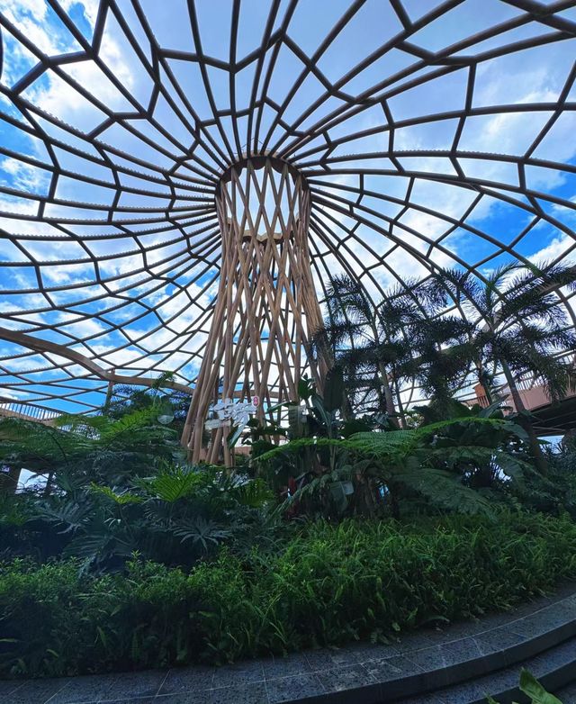 江門古勞水鄉。