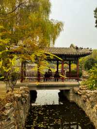 周末到保定｜蓮花書院。