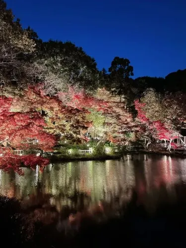 名古屋東山植物園の景観美。