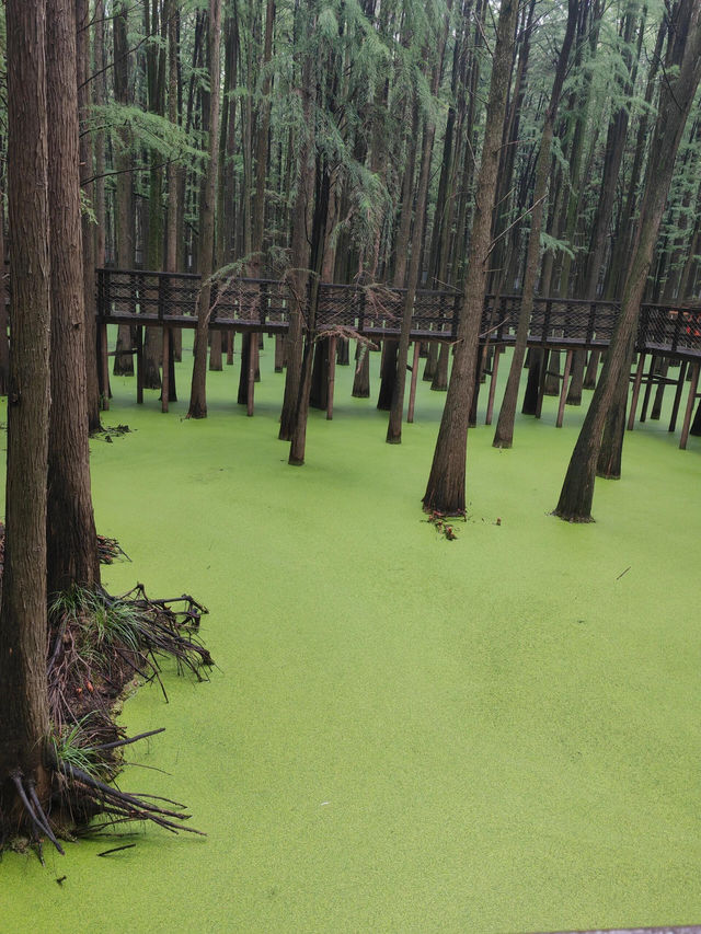 南昌青山湖。