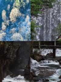 不做冤大頭天目山旅遊避雷||全攻略。