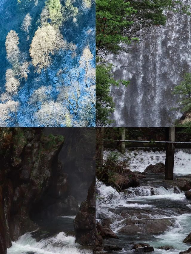 不做冤大頭天目山旅遊避雷||全攻略。
