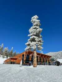 Lake Tahoe skiing at Heavenly offers stunning views