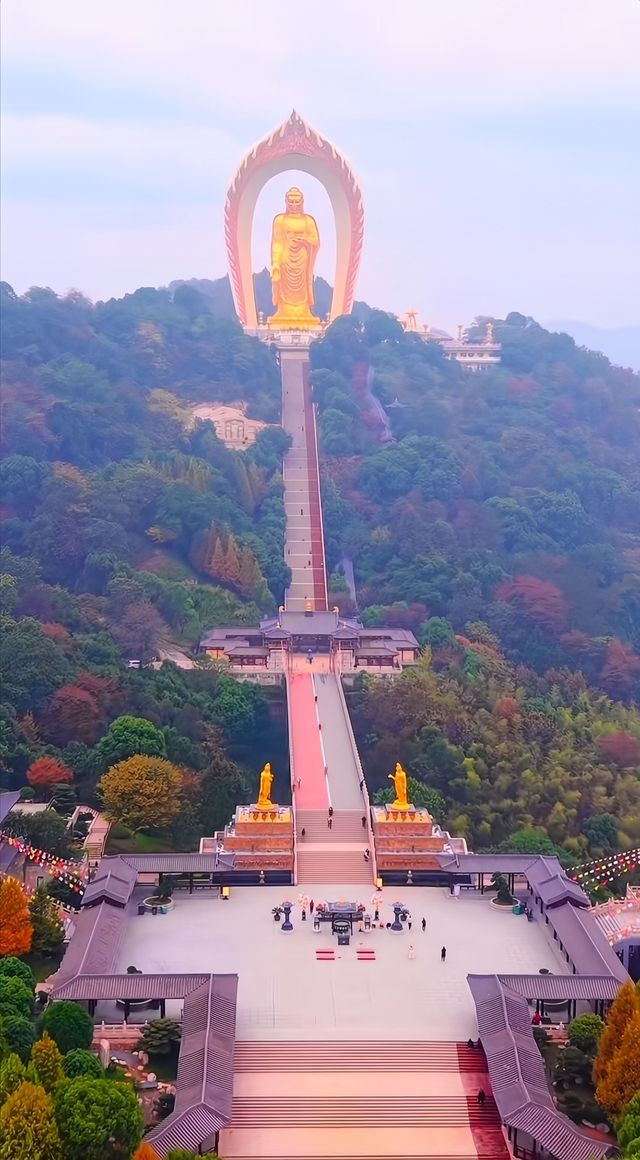 東林大佛保姆級旅遊攻略，快收藏！