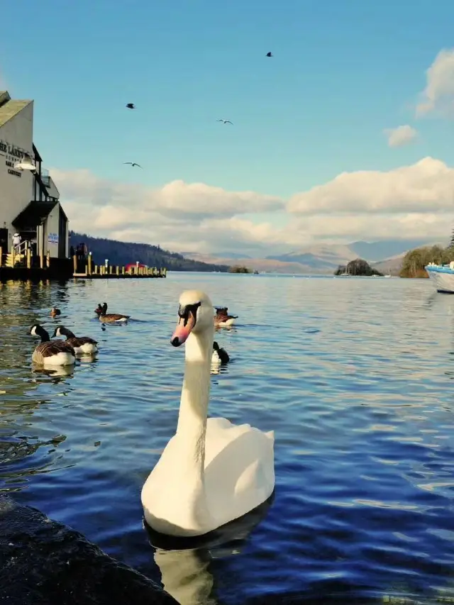 10-Day Family Trip to the UK: Explore the Best of Britain with Your Kids!