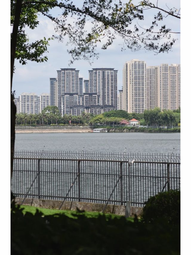 湖邊水庫的冬天，仿佛是倒帶的春天。