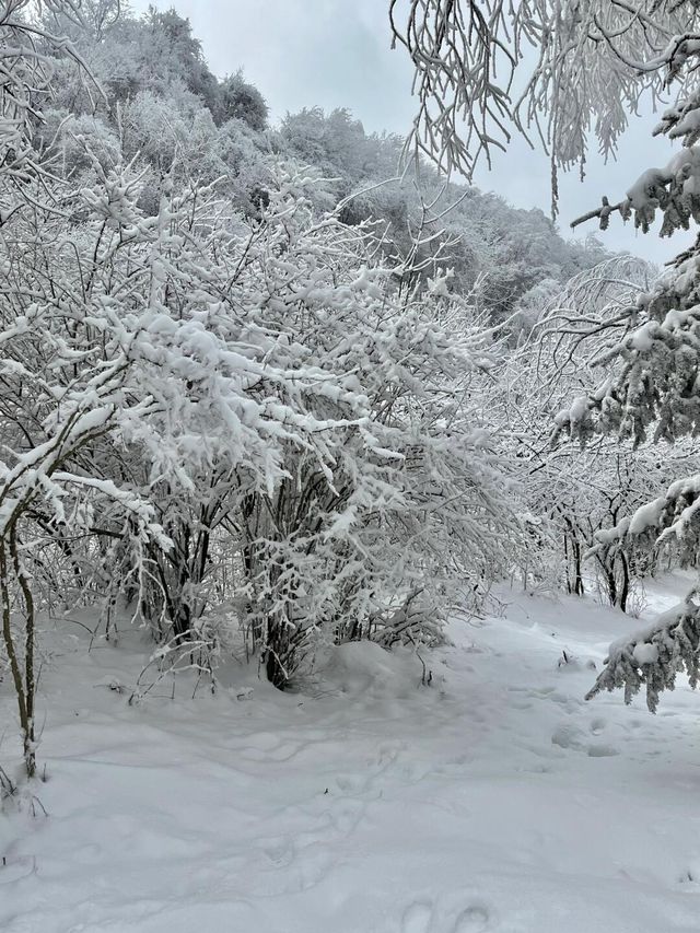 西安無版秦嶺看雪攻略。