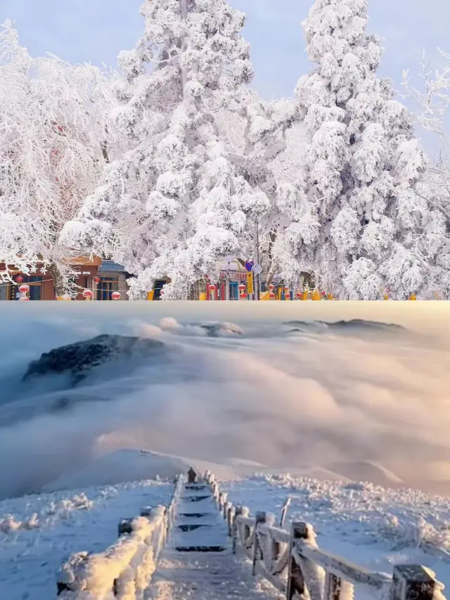 Winter Wonderland: Wugong Mountain, Jiangxi Province. 