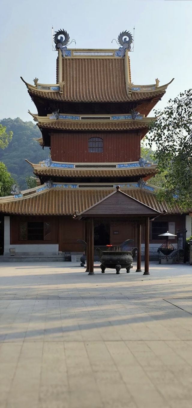 鵬城綠脊，鳳舞山間——深圳鳳凰山攬勝。