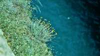 見過筆直的古運河嗎？