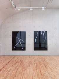 龍美術館建築的獨特性，與「繪畫」作品相得益彰。