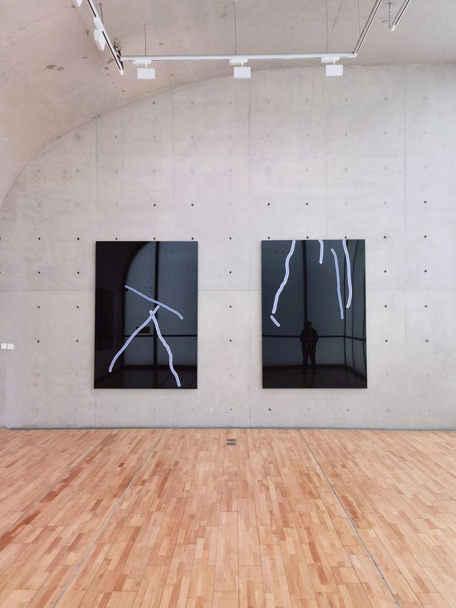 龍美術館建築的獨特性，與「繪畫」作品相得益彰。