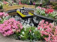 芝加哥林肯公園溫室植物園：自然的魅力之旅