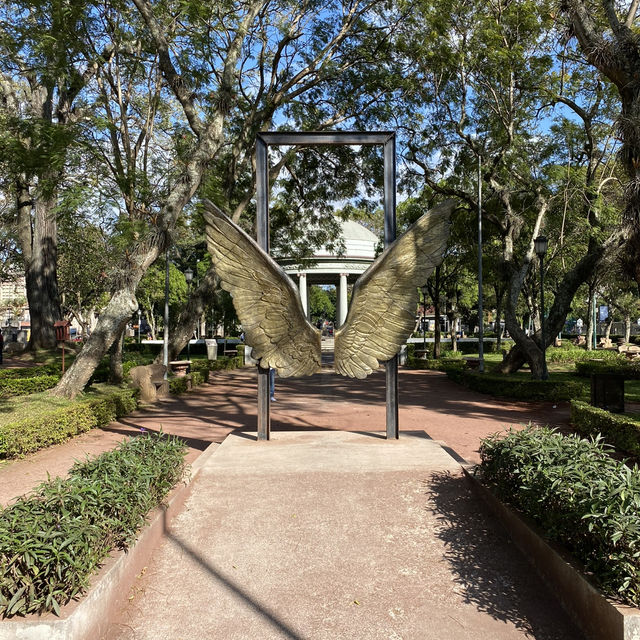 San José, Costa Rica 🌎