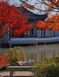打卡濱江森林公園滈園
