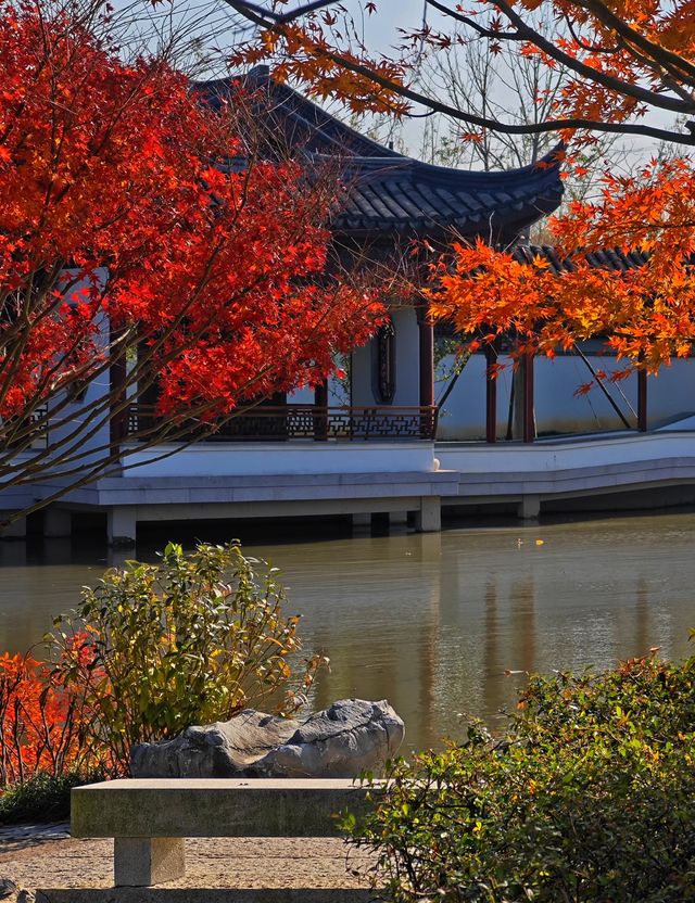 打卡濱江森林公園滈園