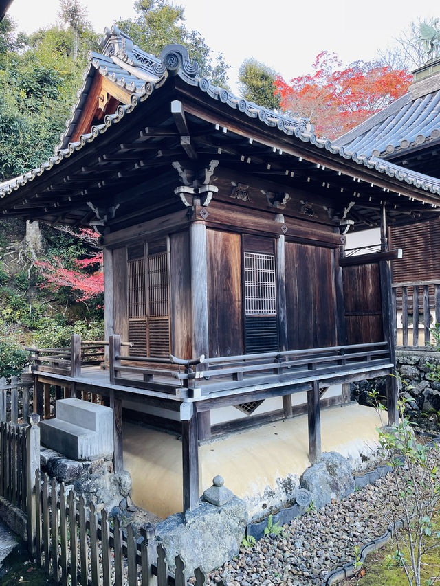 日本·京都嵐山二尊院