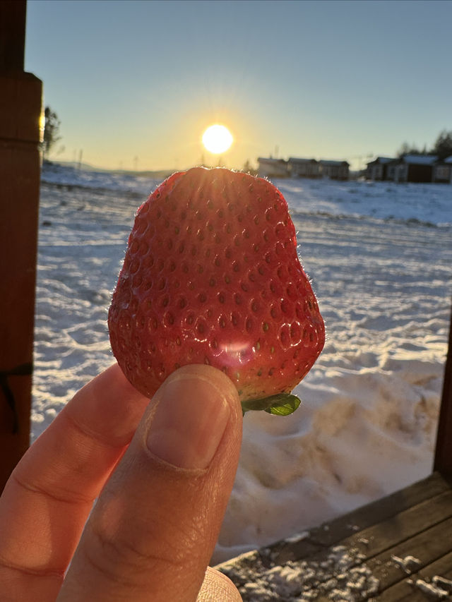不用去哈爾濱，這裡也可以看雪景