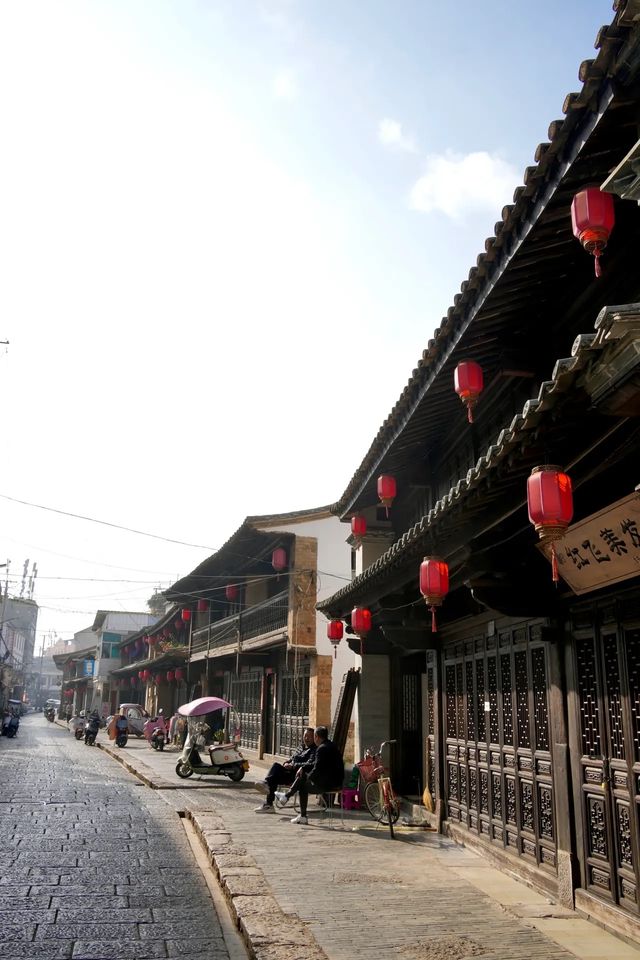 異龍湖偶遇紅嘴鷗