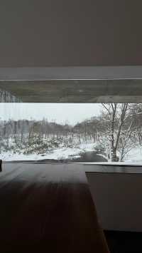 北海道二世古滑雪酒店天花板