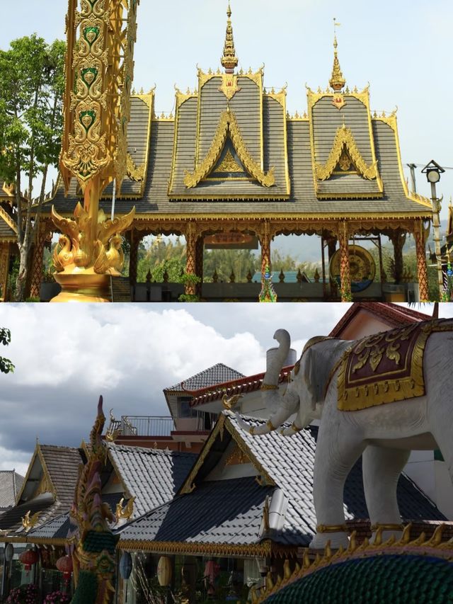 走一走勐海