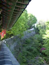 利川必去景點，美到讓人心醉