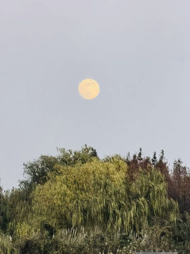 湖州喜來登溫泉度假酒店靚麗的外景